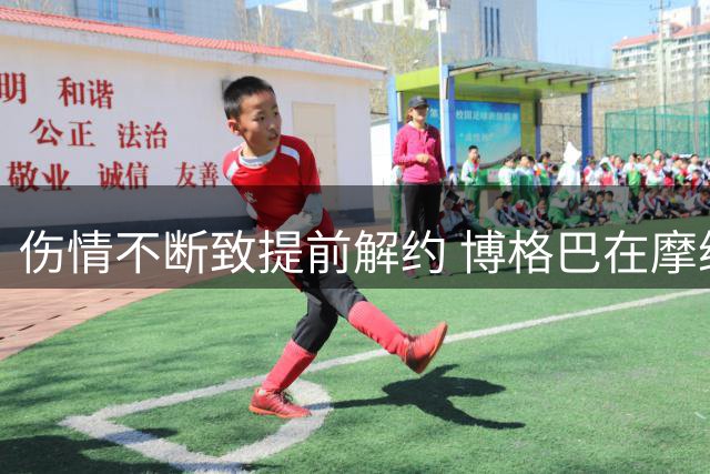 伤情不断致提前解约 博格巴在摩纳哥仅效力一年