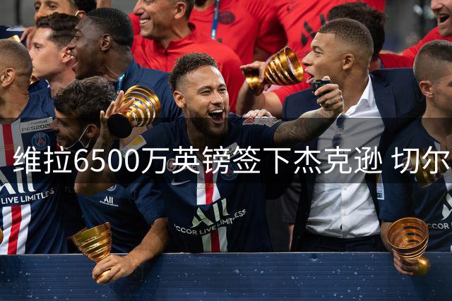 维拉6500万英镑签下杰克逊 切尔西告别昔日锋将