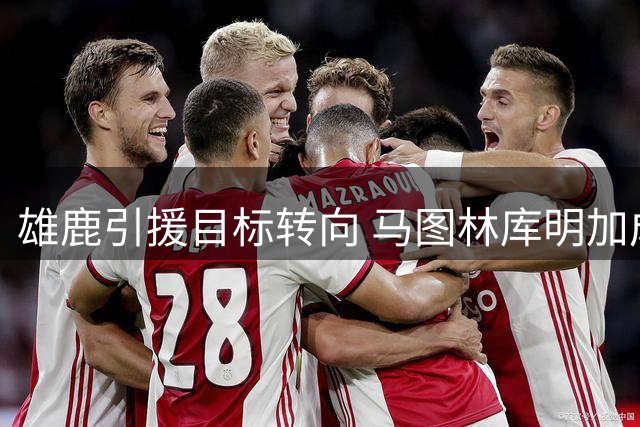 雄鹿引援目标转向 马图林库明加成新选择